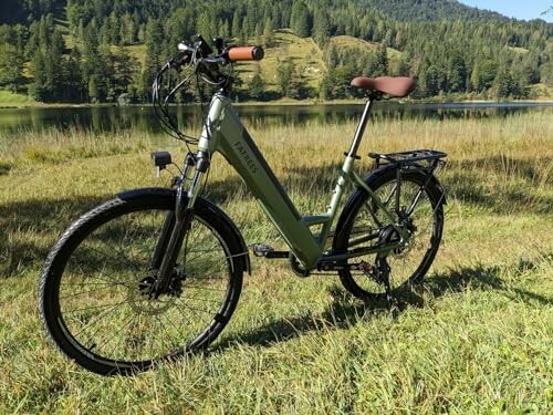 Green electric bike parked on grass near a lake with trees in the background.