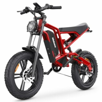 iENYRID Electric Bike